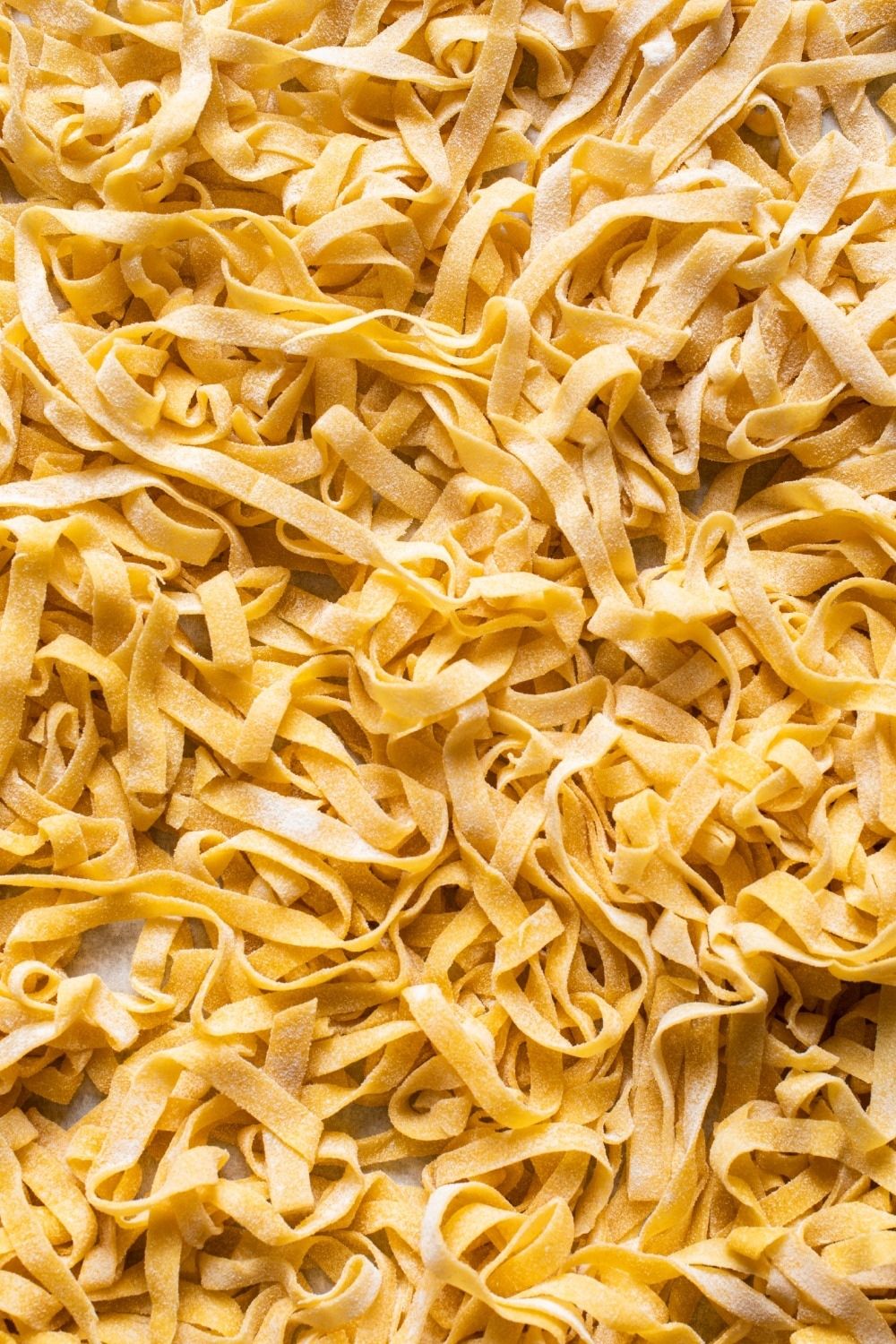 Fresh Pasta