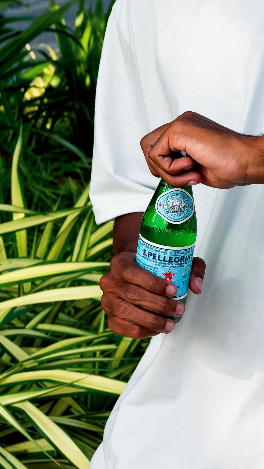 San Pellegrino Sparkling Water - 250 ml